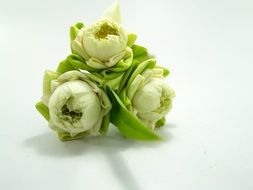 White Flower Lotus blooms Decoration