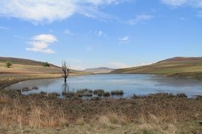 Countryside ecology Landscape