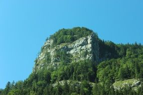 Beautiful green forest on the cliff at blue sky background