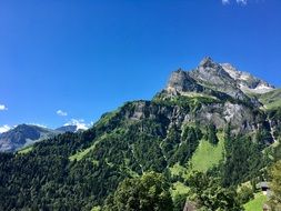 remote view of alpine forest in the mountains