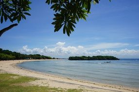 beach with green trees in bali