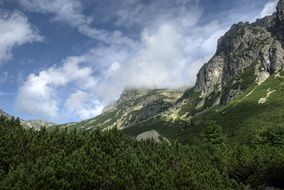 Slovakia Tatry forests rock Landscape