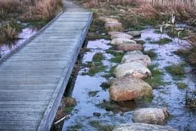 wooden flooring and stone walkway in the swamp area in Vyborg