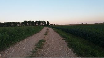 landscape of trail in a meadow at the sunset