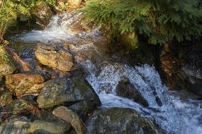 creek with fresh water in slovakia