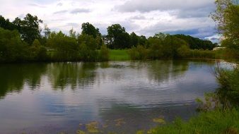 Pond Fishing