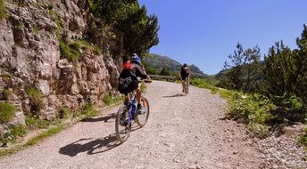 mountain bikers on the road