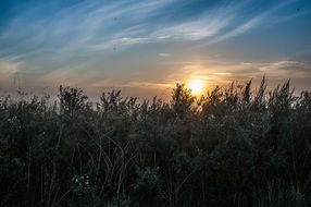 Sunrise Sky