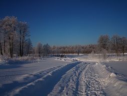 Landscape of the beautiful winter forest