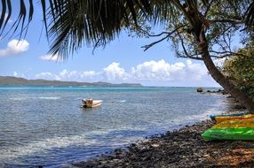 coast of the mountainous island of martinique