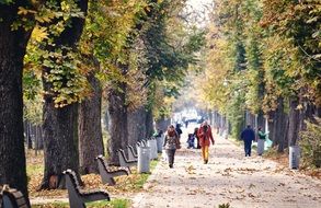 people on walkway in autumn Park