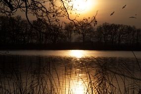 romantic sunset on the lake