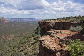 rocks in green bushes in arizona