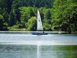 sailing boat on the lake with beautiful shore with plants