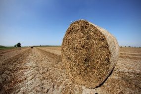 round haystack on arable field