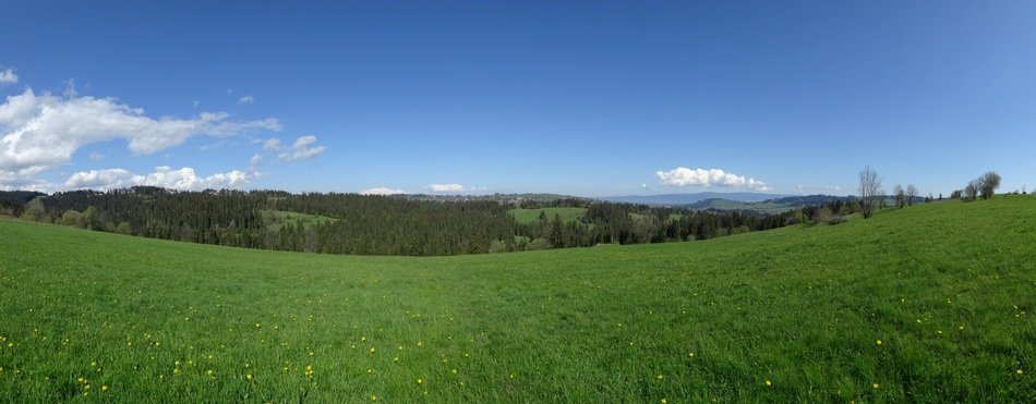 beautiful green meadow in Tatry