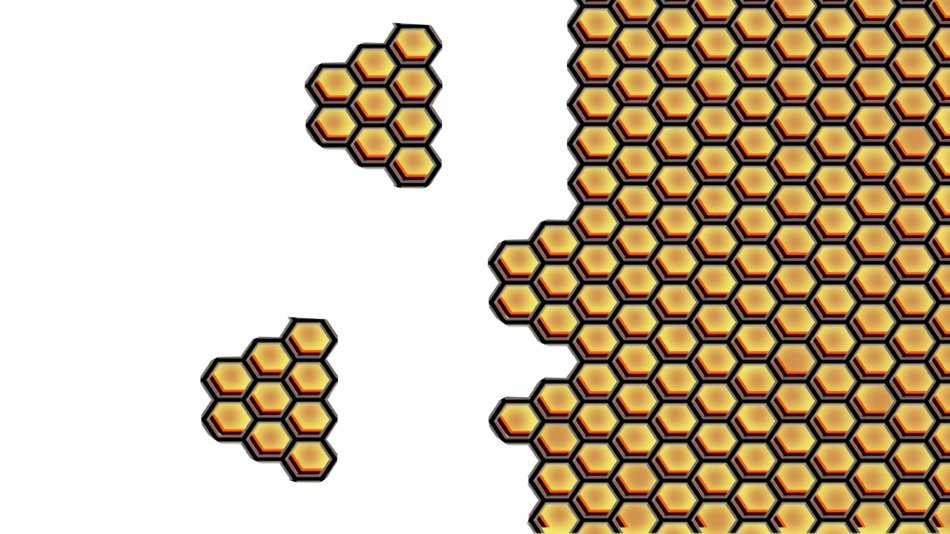 drawn honeycombs at white background