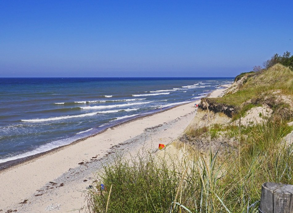 grass and sand on coast of Baltic Sea, germany, rÃ¼gen