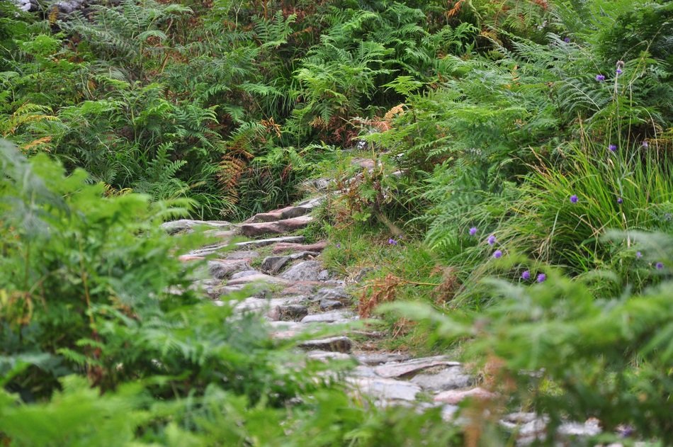 stone path in hidden valley ballachulish