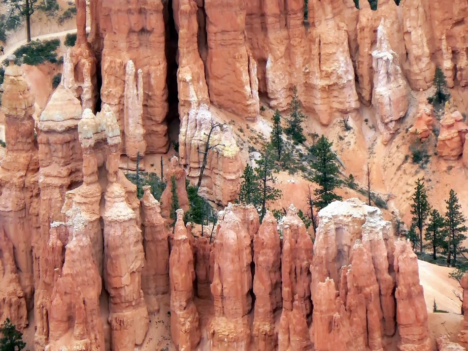 cliff with green trees in the desert