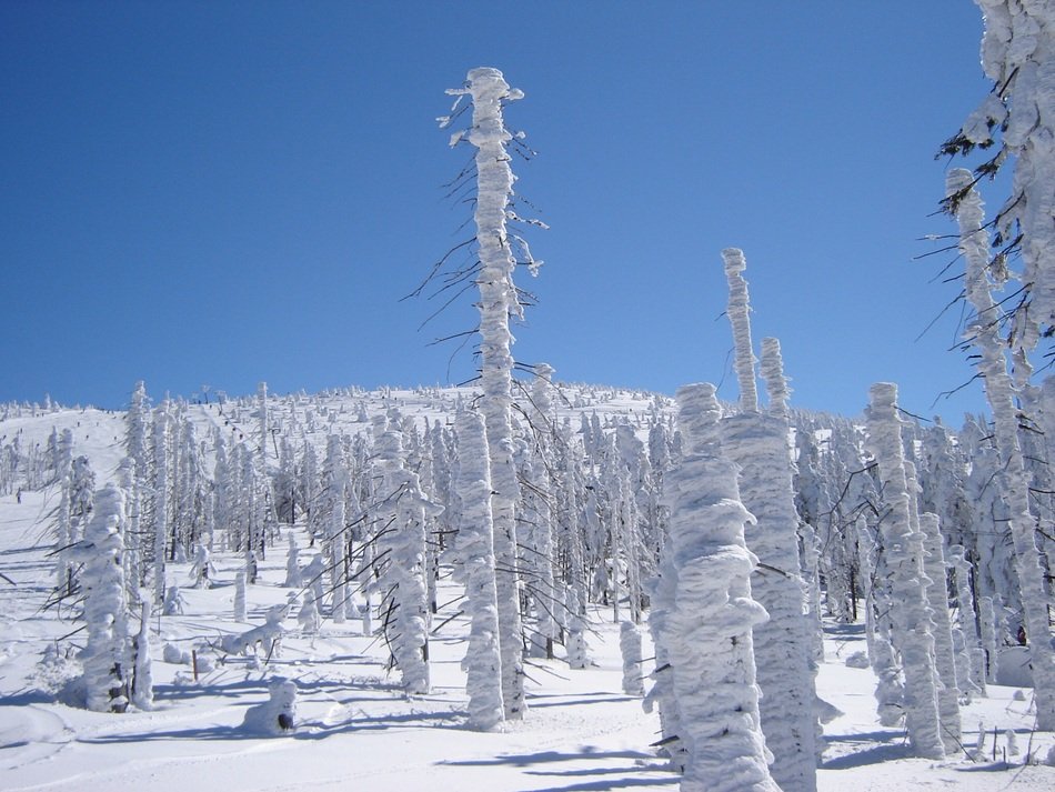 tatras in the snow in winter