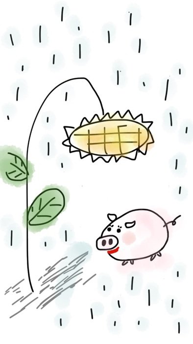 painted pig under a sunflower in the rain