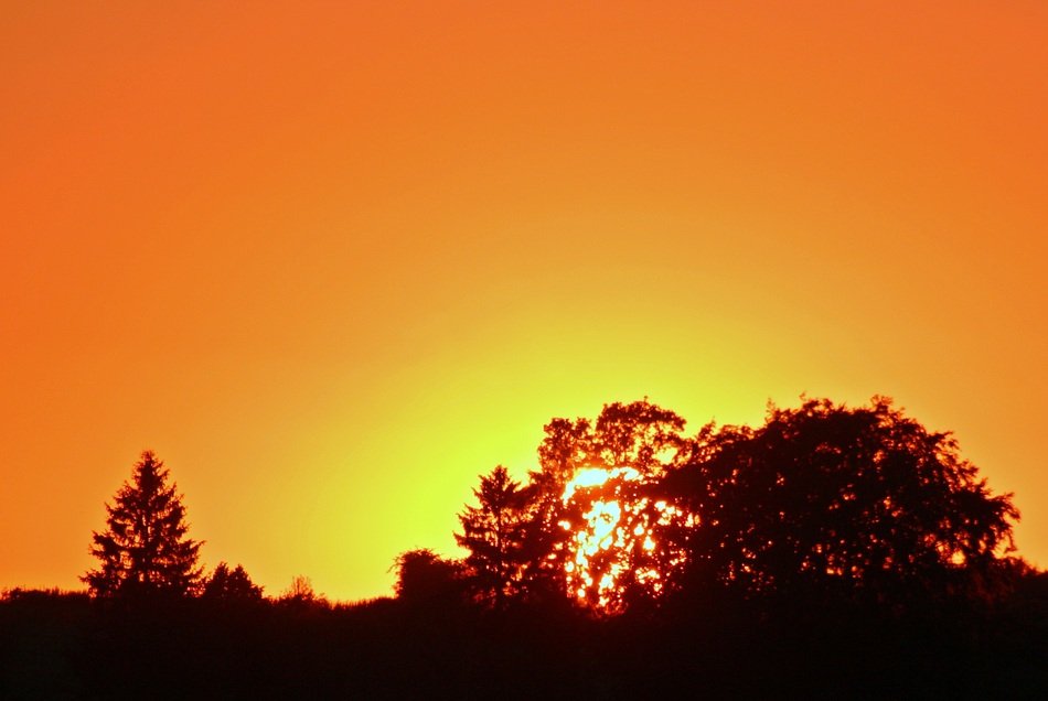sunset sky hidden sun behind a tree