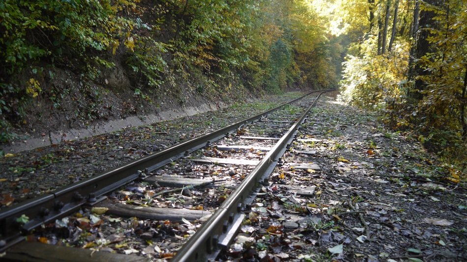 rails in the autumn forest