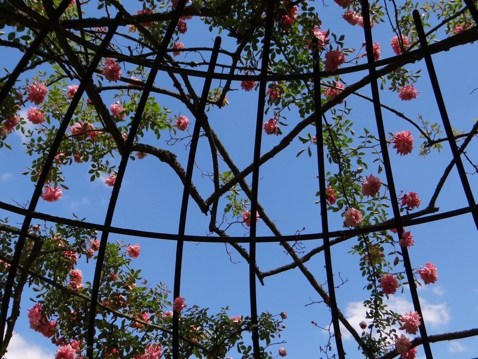 large rosary in the botanical garden