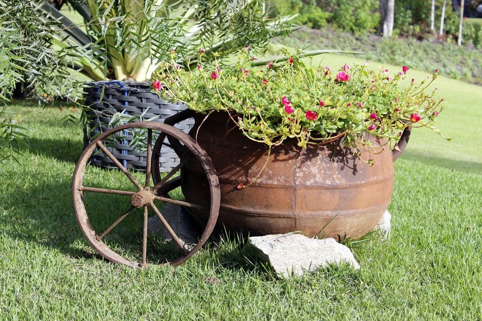 vintage composition in the garden on a sunny day