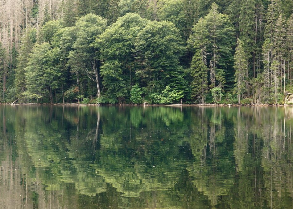 black lake in bohemia