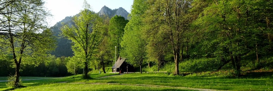 Landscape of green nature in Poland