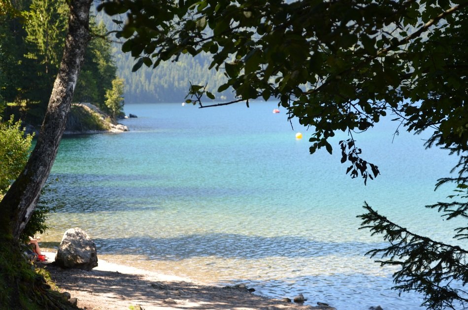 Landscapes Lake View