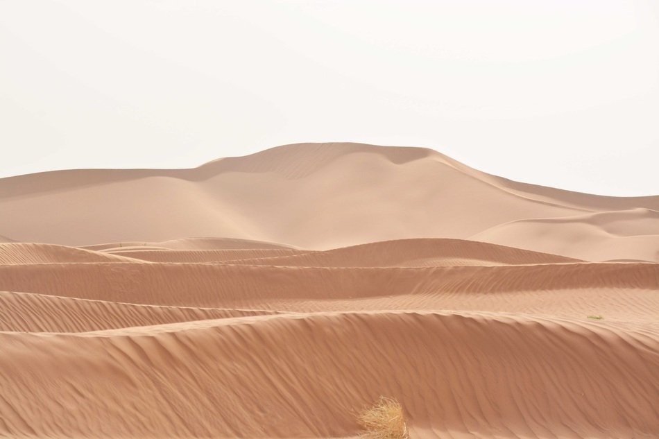 Landscape of Sahara Desert