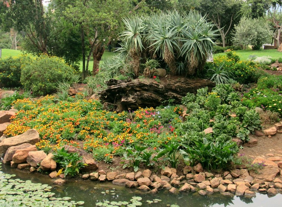 Beautiful flowers and rocks