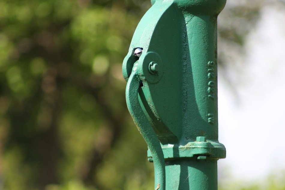 Green pump in the green garden