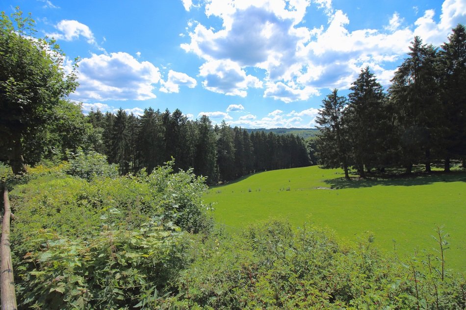 Eifel Sky Forest