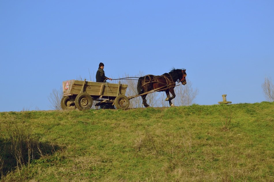Wagon Countryside Farm Nature