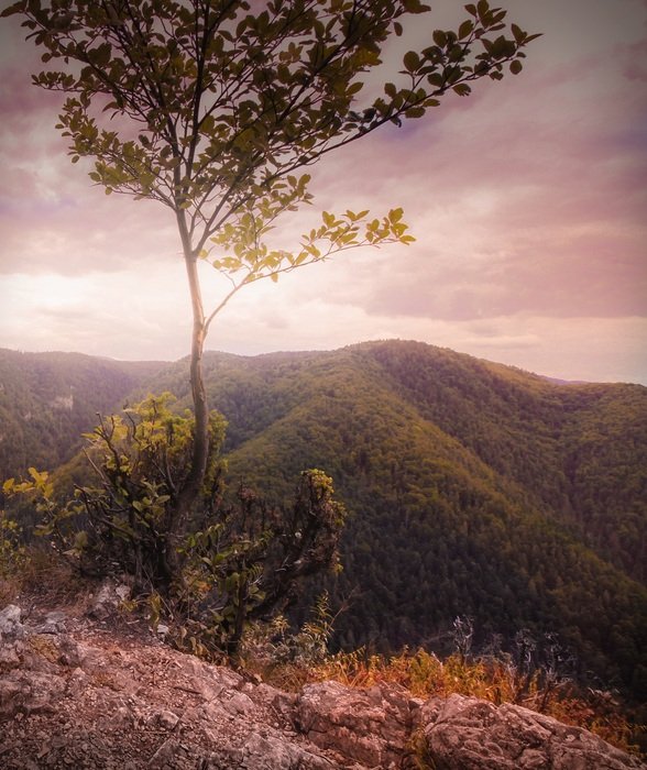 sunset in the green mountains