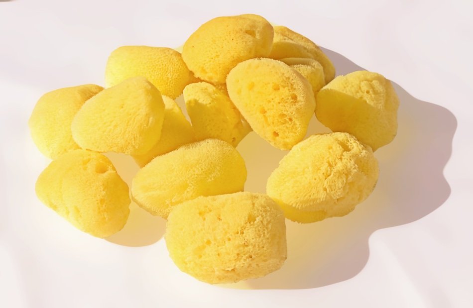 yellow Marina Sponges