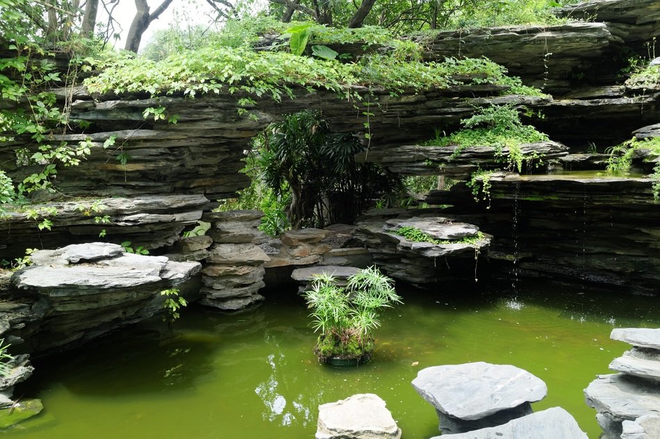 beautiful pond with tropical plants on stones, China, Shenzhen International Garden and Flower Expo Park