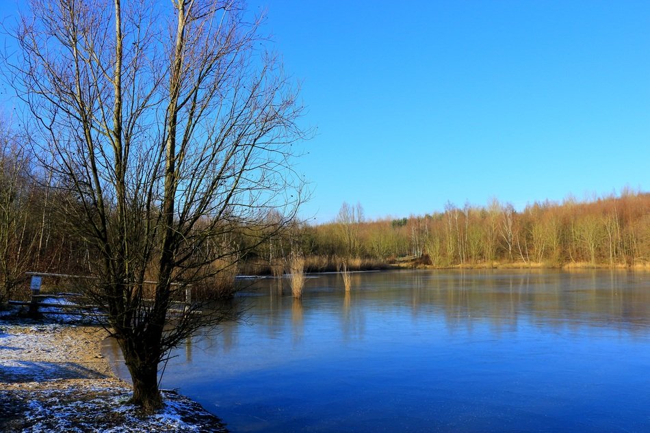 sunny winter on the lake in niederzier
