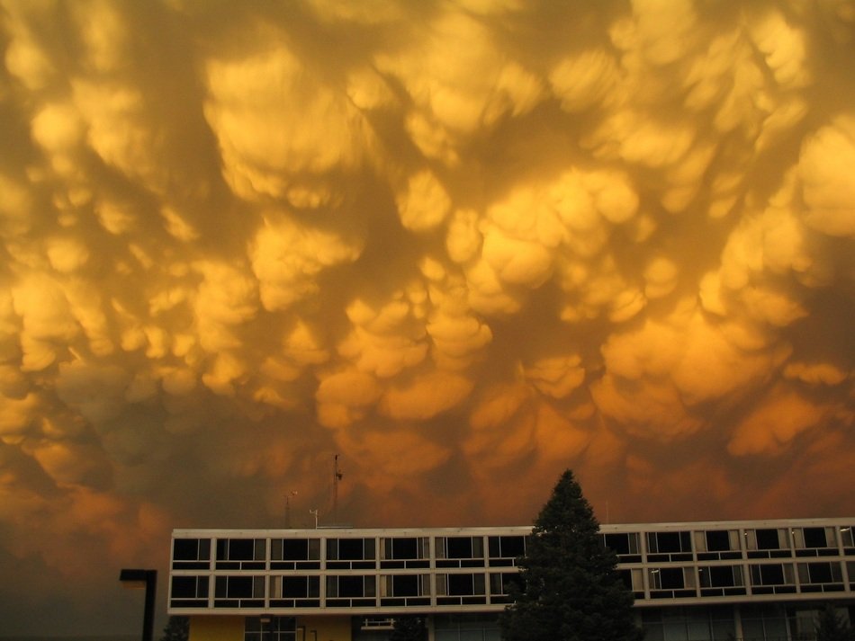 Beautiful yellow mammatocumulus clouds above the landscape