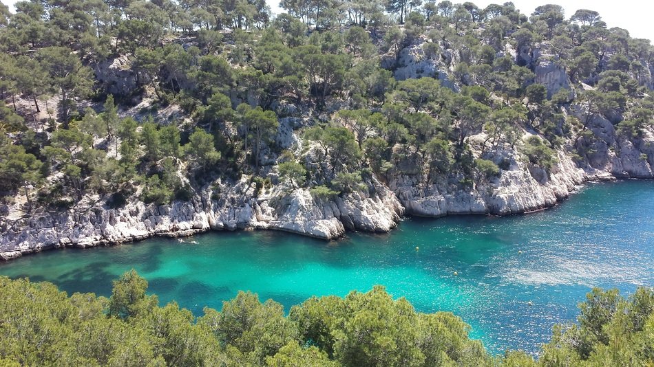 Landscape Nature Blue