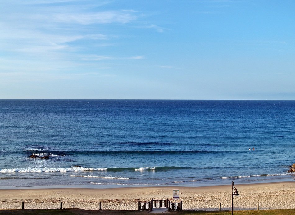 sunny coastline of the sea