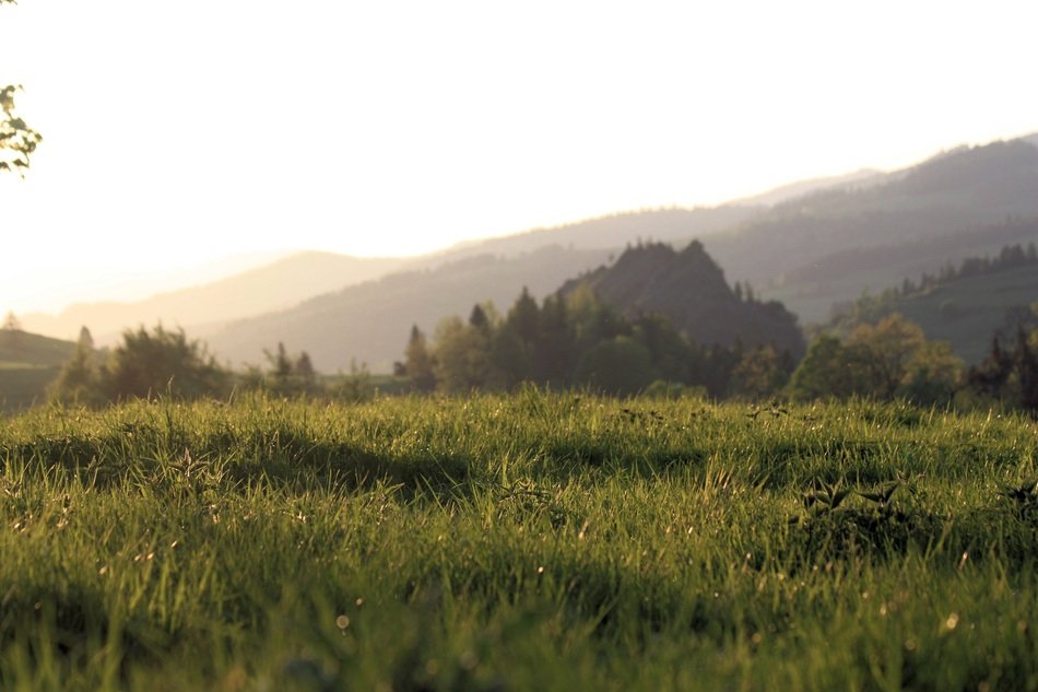 view of Pieniny mountains in summer