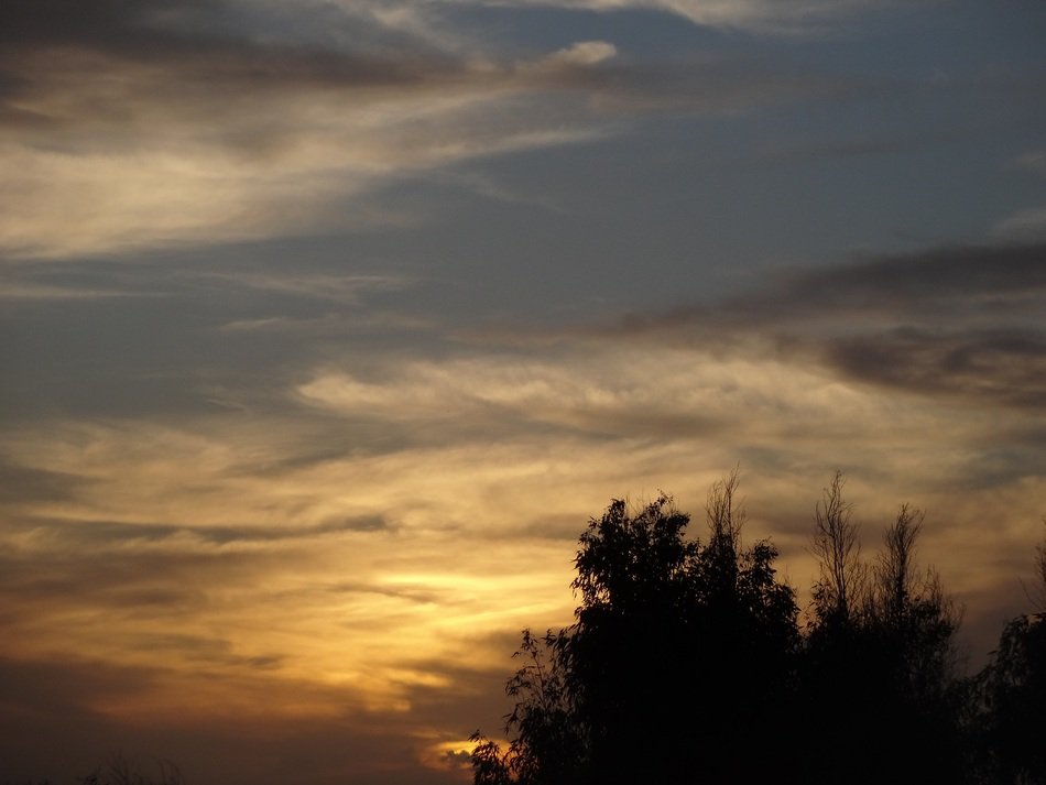 Landscape of twilight on sky