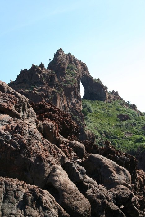 wild Corsican nature