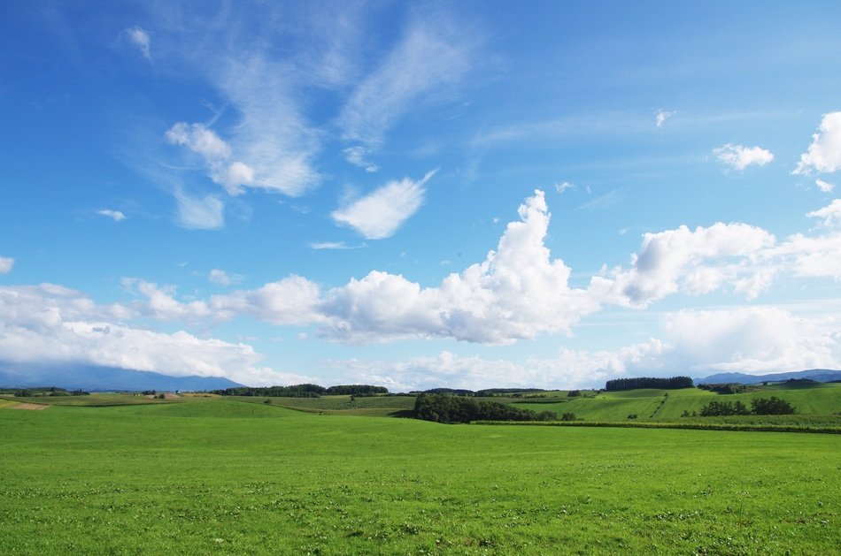 Biei Meadow