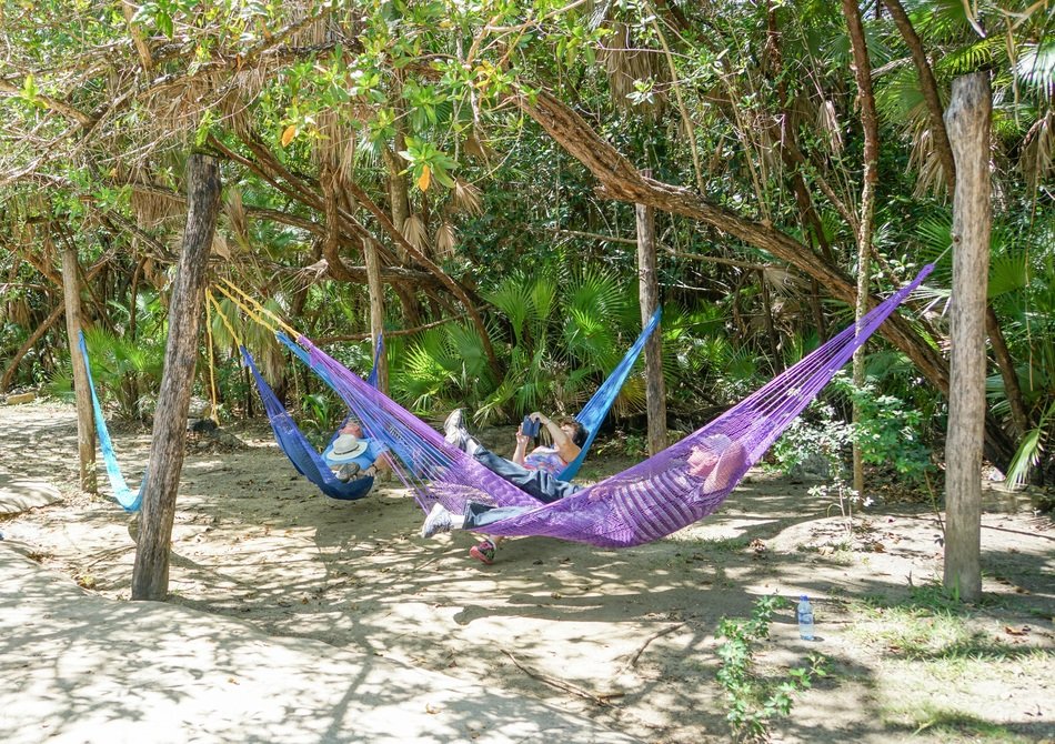 hammock among the trees in the jungle